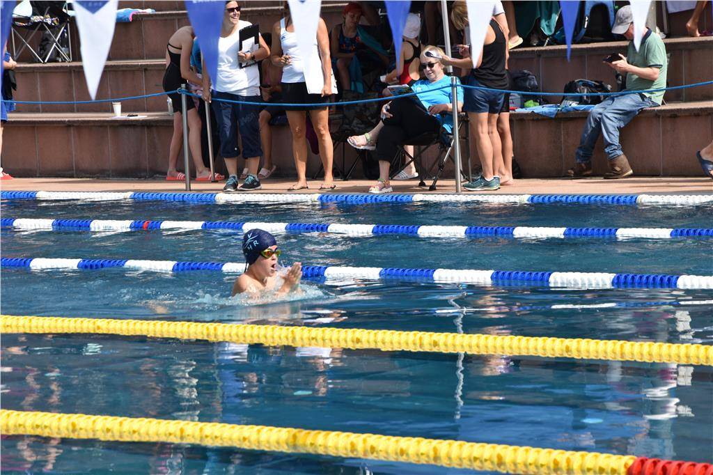 dsc_0088 (2)_1024_hd