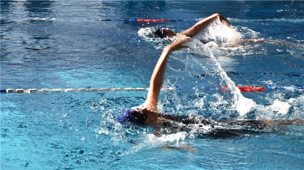 dsc_0113_edited_1024_hd