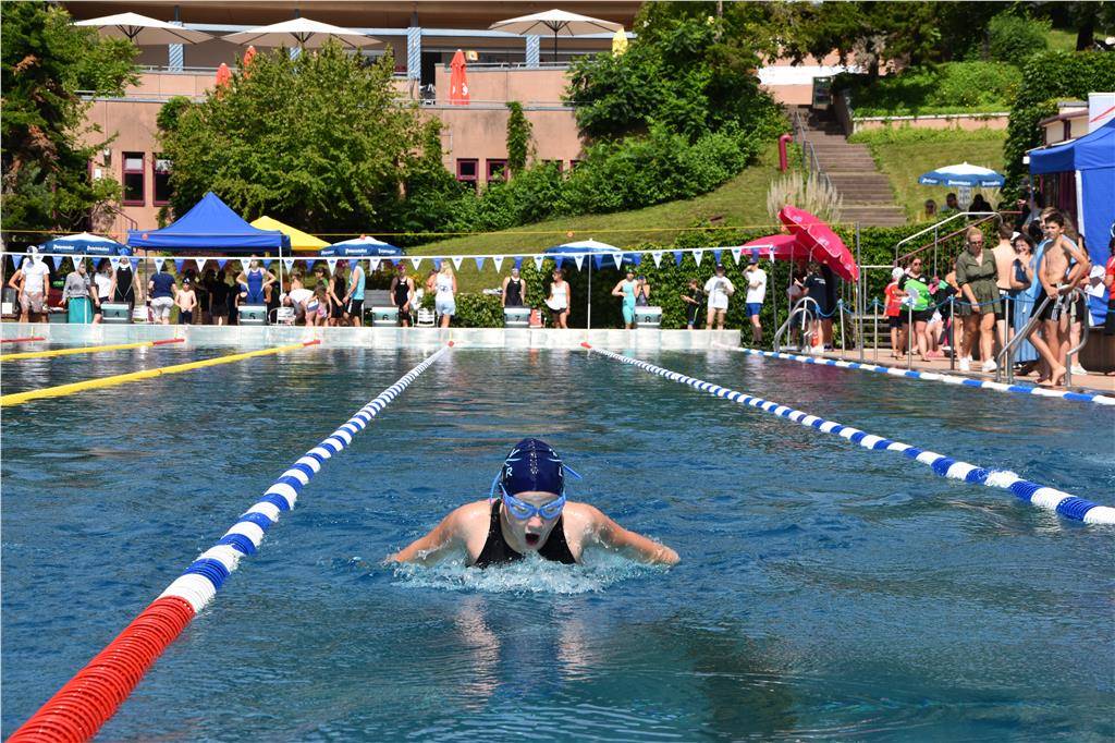 dsc_0137 (3)_1024_hd