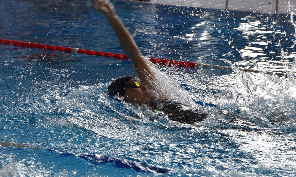 dsc_0184_edited_1024_hd