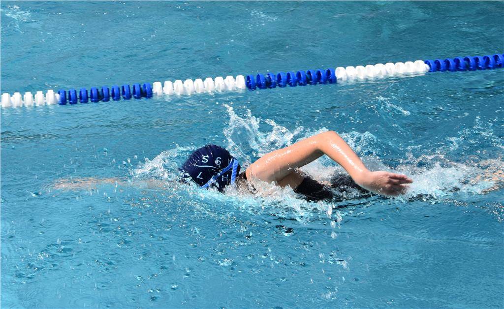 dsc_0236_edited_1024_hd