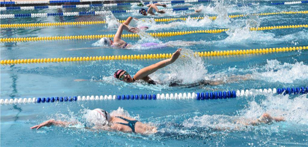 dsc_0250 (3)_edited_1024_hd