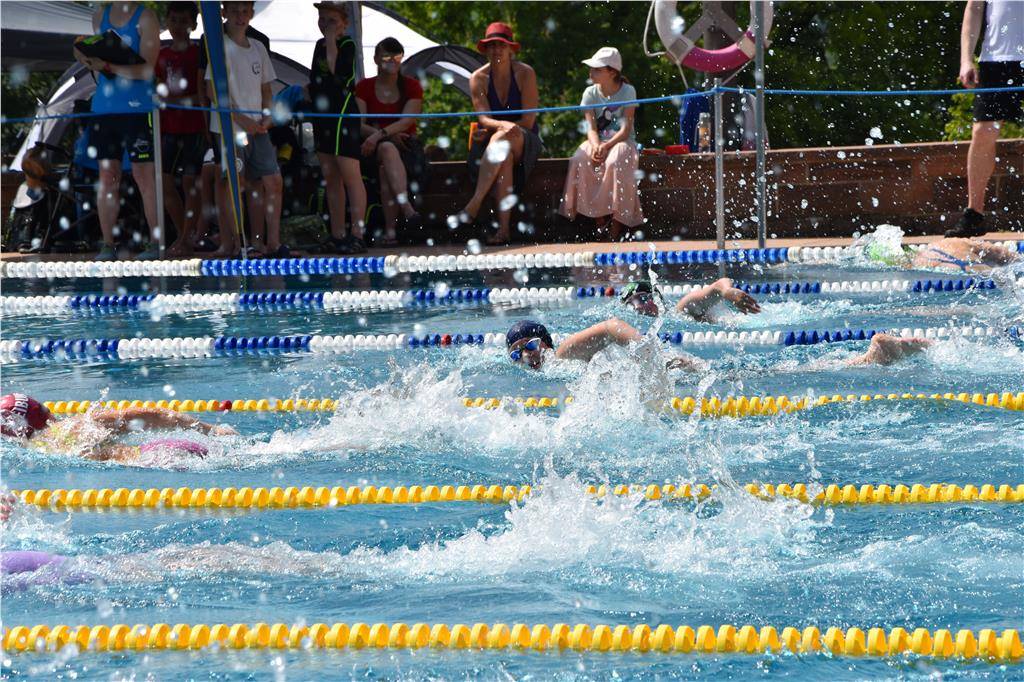 dsc_0252 (2)_1024_hd