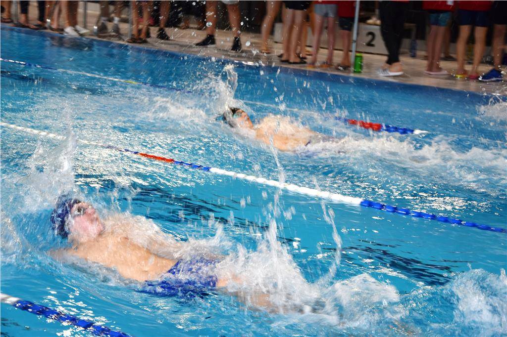 dsc_025555555555556_1024_hd