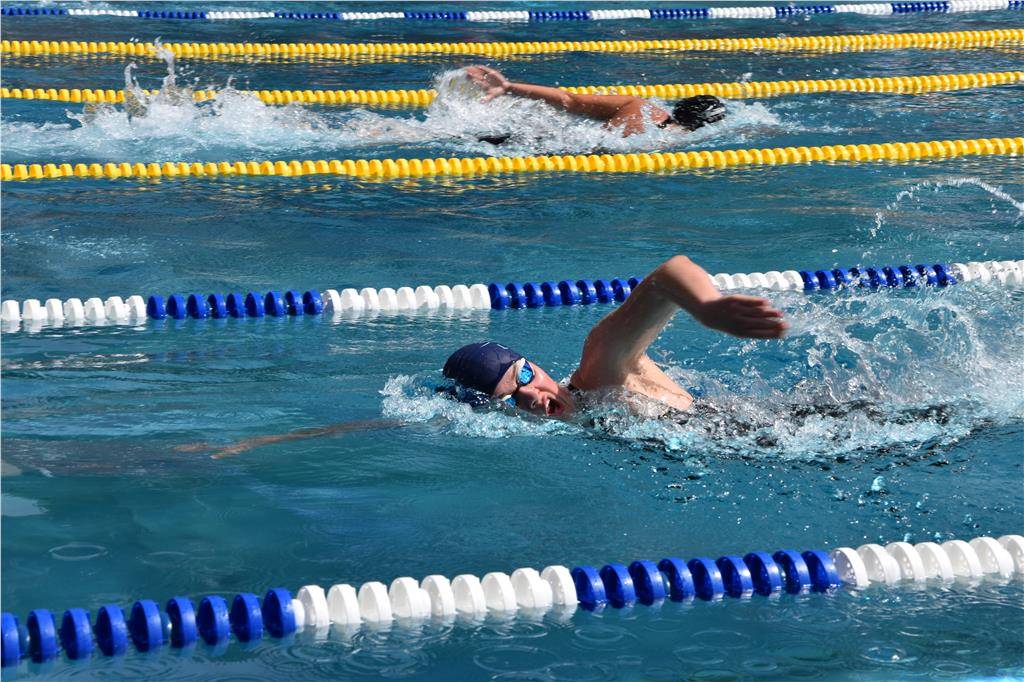 dsc_0265 (2)_1024_hd