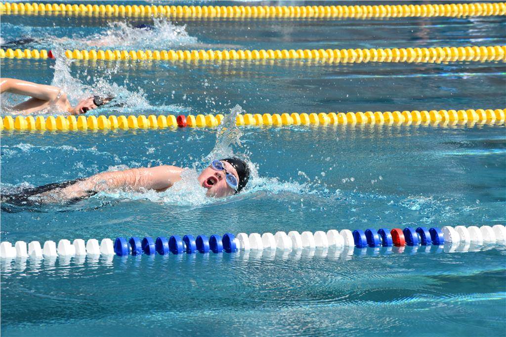 dsc_0277 (1)_1024_hd