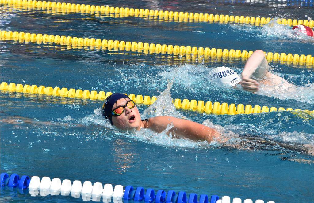 dsc_0286 (2)_edited_1024_hd