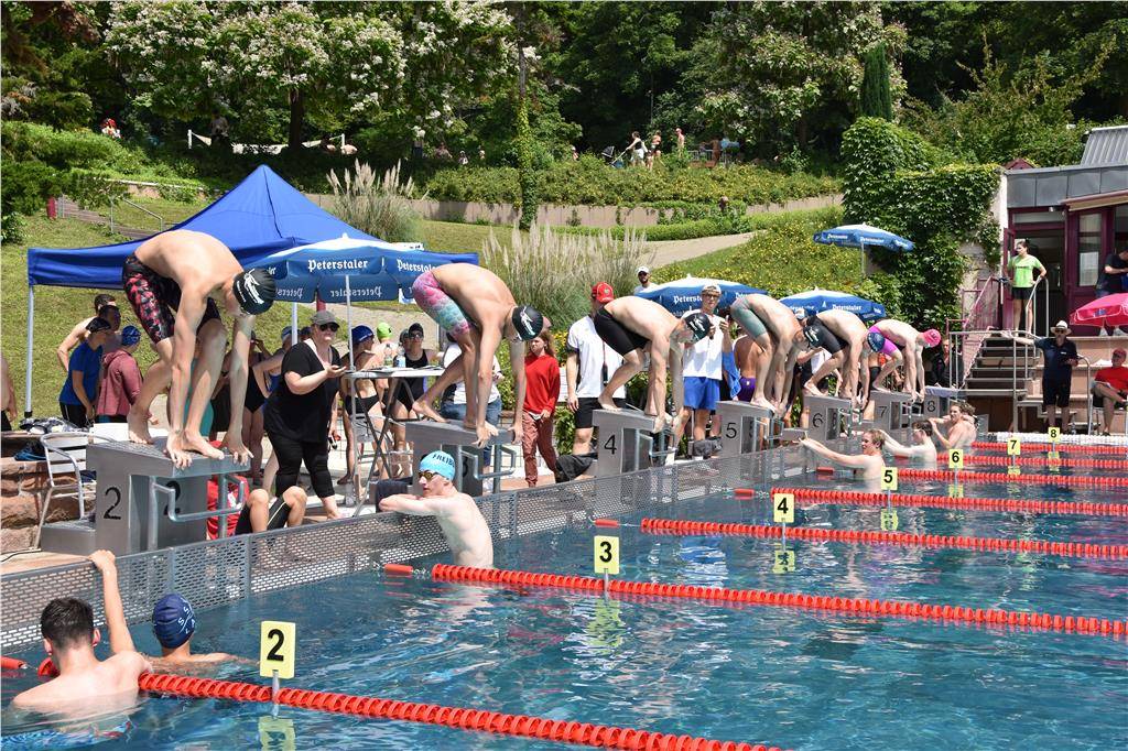 dsc_0304 (1)_1024_hd