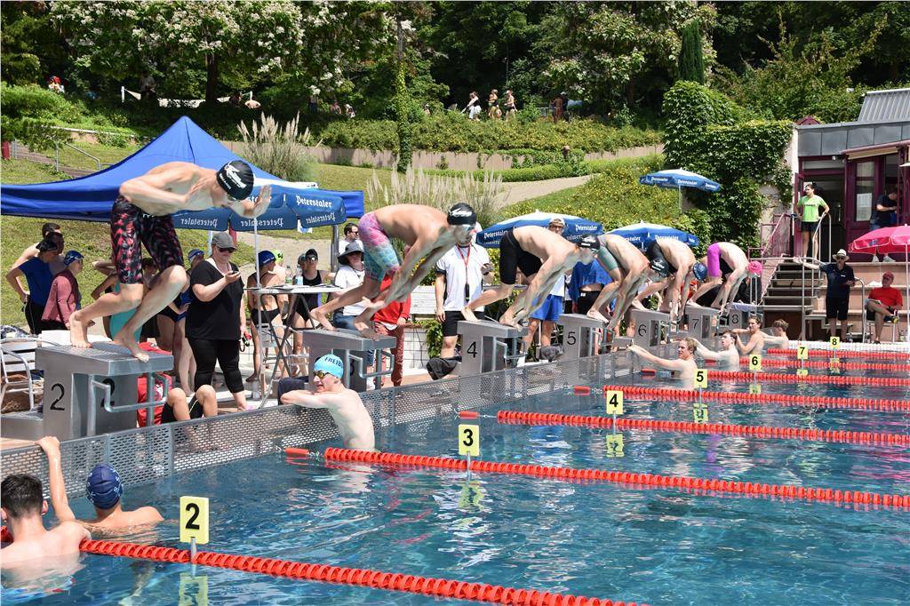 dsc_0305 (1)_1024_hd