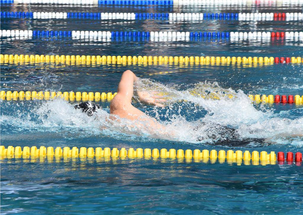 dsc_0311_edited_1024_hd