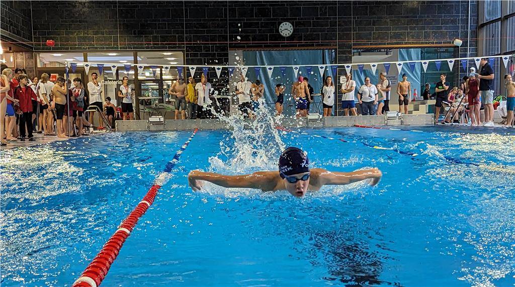 pxl_20231125_144221579_1024_hd