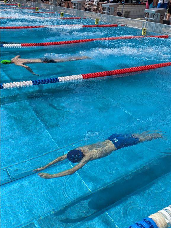 pxl_20240629_105634943_1024_hd