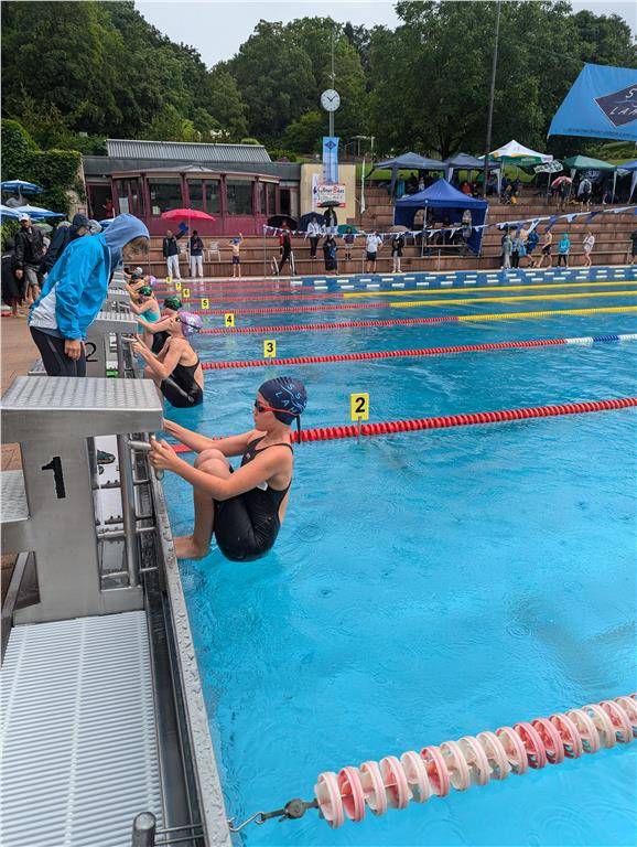 pxl_20240630_080826878_1024_hd