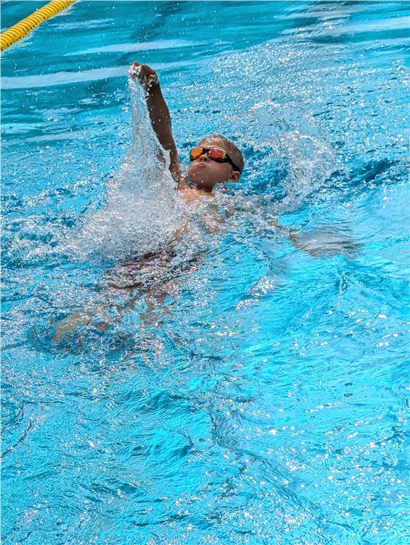 pxl_20240630_081248288_1024_hd