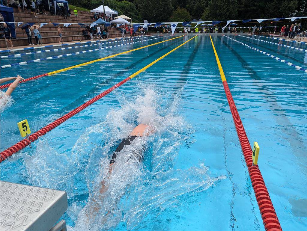 pxl_20240630_082056464_1024_hd