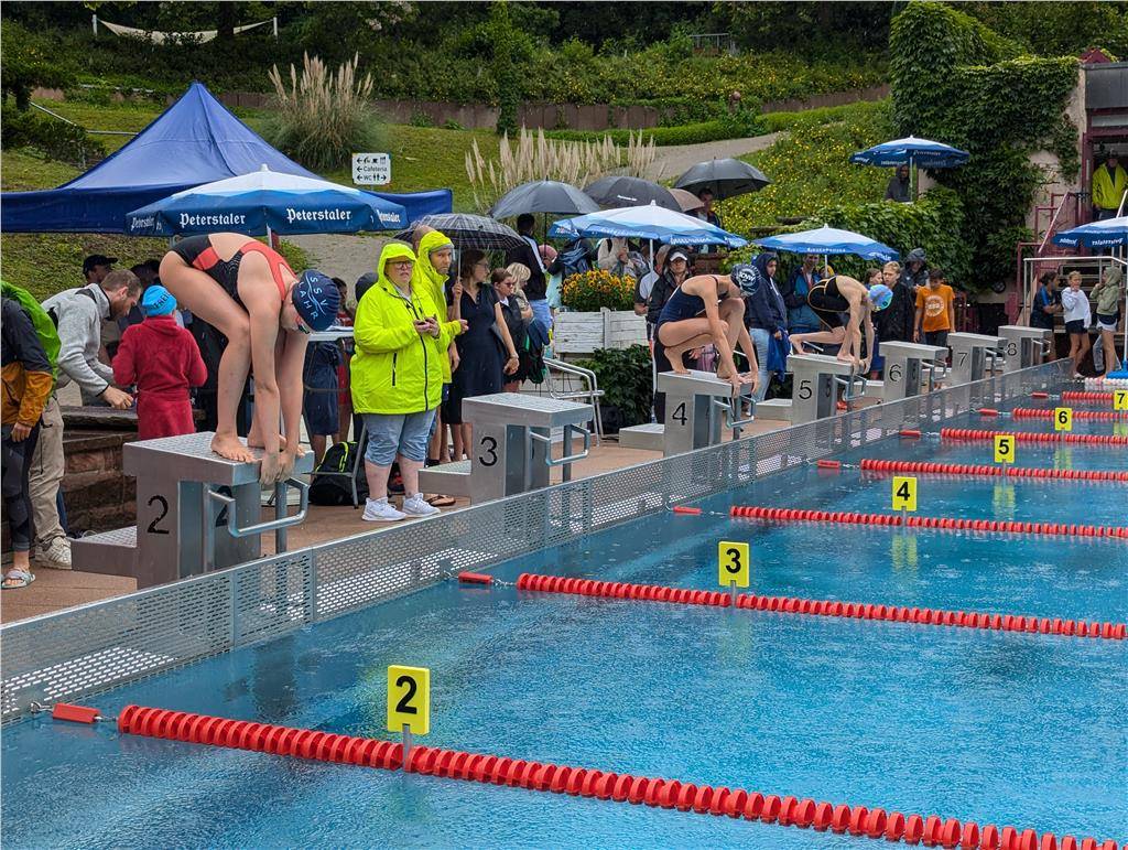 pxl_20240630_083336278_1024_hd