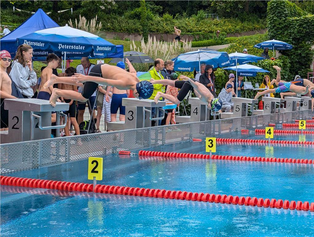 pxl_20240630_085214380_1024_hd