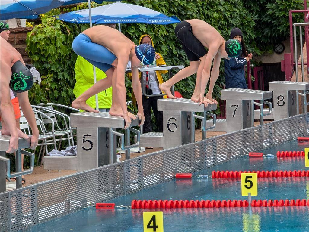 pxl_20240630_091229680_1024_hd