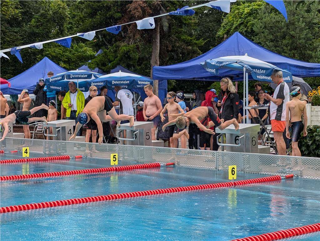 pxl_20240630_094950425_1024_hd