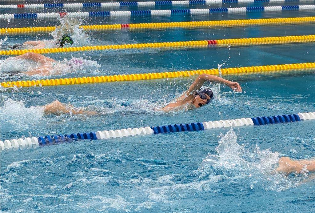 pxl_20240630_100139066_1024_hd