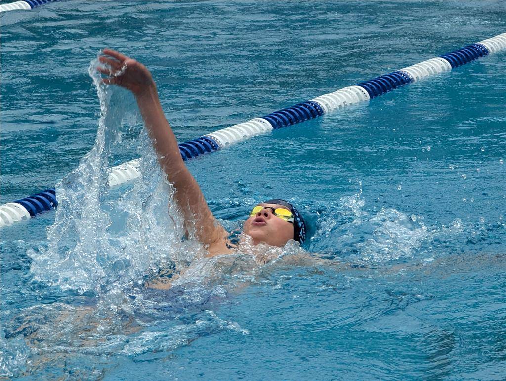 pxl_20240630_104023261_1024_hd